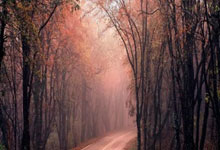 兰博电竞官网:陈垣宇0-3不敌达科-约奇克,WTT仁川冠军赛男单首轮出局.