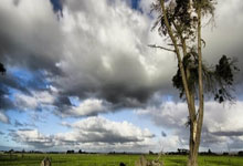 兰博电竞官网:布莱顿球迷试图“钞能力”诱惑裁判,裁判恰好取消点球判断.