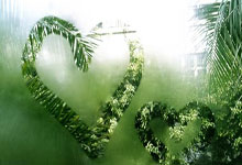 穆里尼奥13场不败,领头羊出招!阿隆索卫冕有望,伤病冲击拜仁.