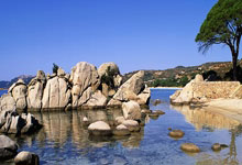 围棋新秀赛落子 循环赛制给年轻棋手更多比赛机会.